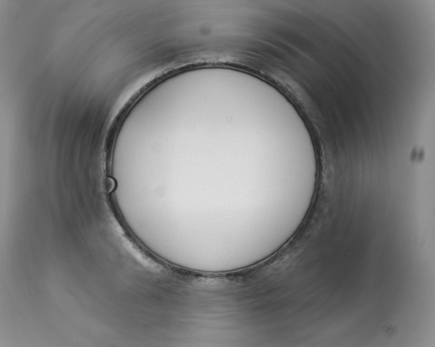 X0000112860894200909111506