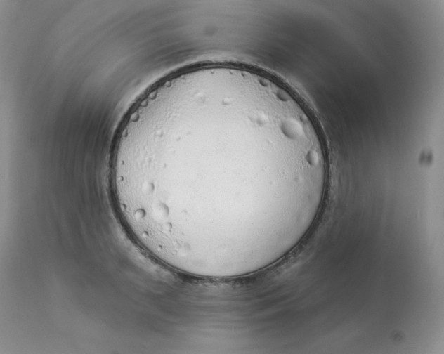 X0000112860895200909111506