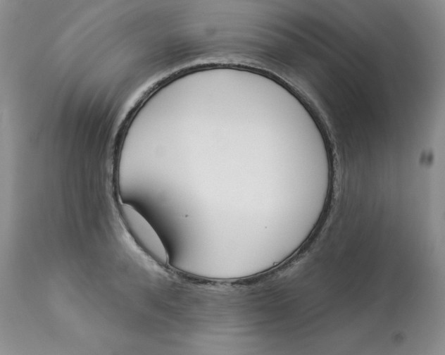 X0000112860896200909111506