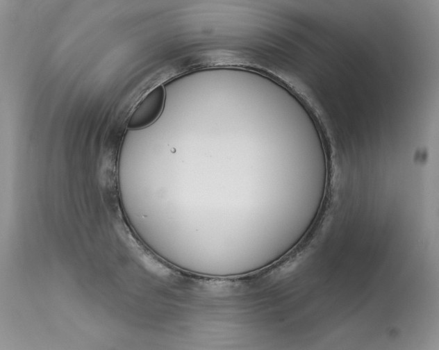 X0000112860897200909111506