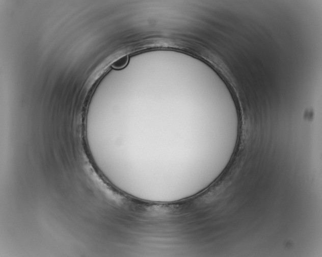 X0000112860898200909111506