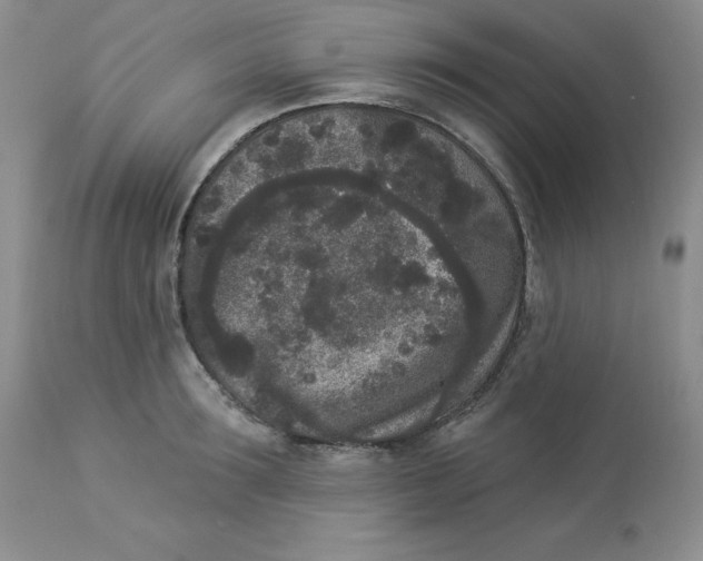 X0000112860899200909111506