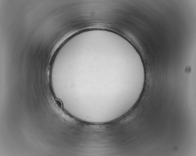 X0000112860900200909111506