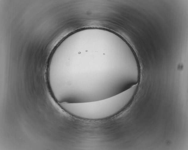 X0000112860901200909111506