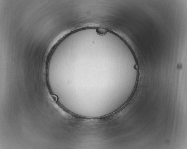 X0000112860902200909111506