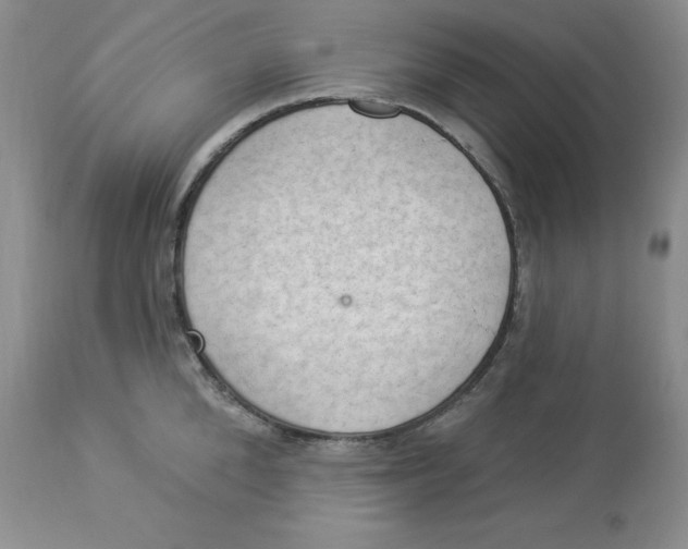 X0000112860904200909111506