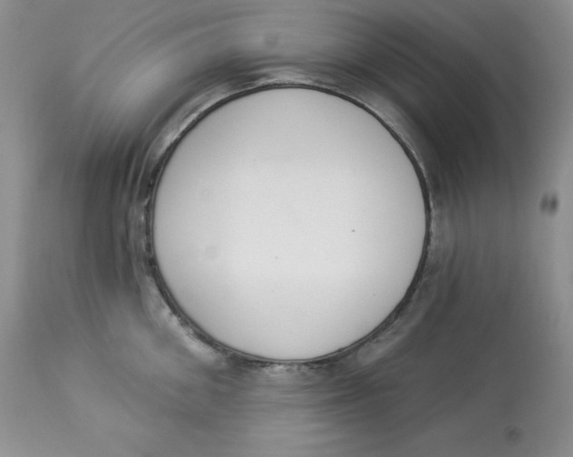 X0000112860906200909111505