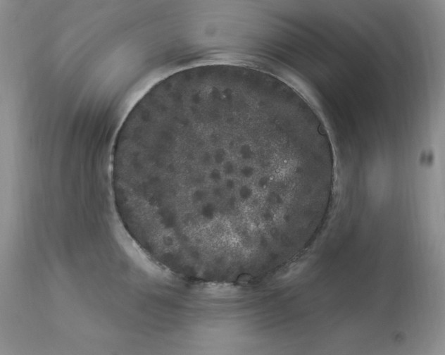 X0000112860907200909111505