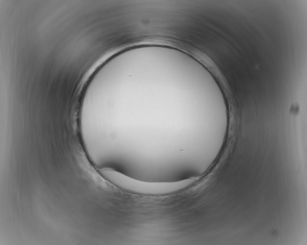 X0000112860908200909111505