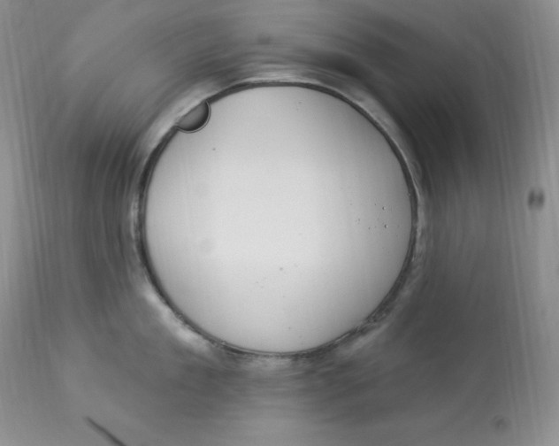 X0000112860909200909111505