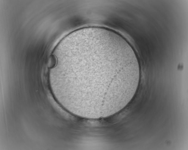 X0000112860911200909111505