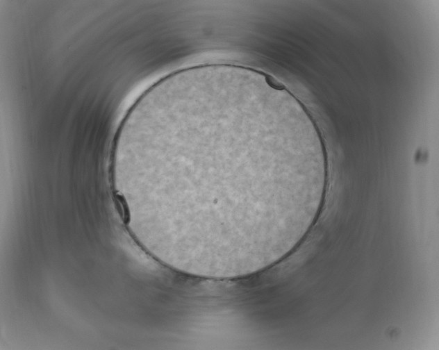 X0000112860912200909111505