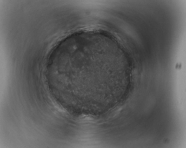 X0000112860913200909111505