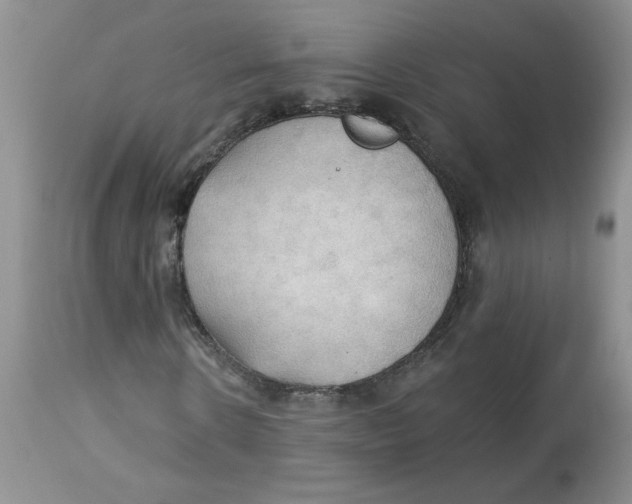 X0000112860914200909111505