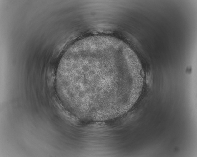 X0000112860915200909111505