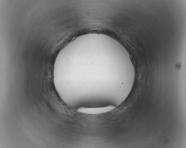 X0000112860916200909111505