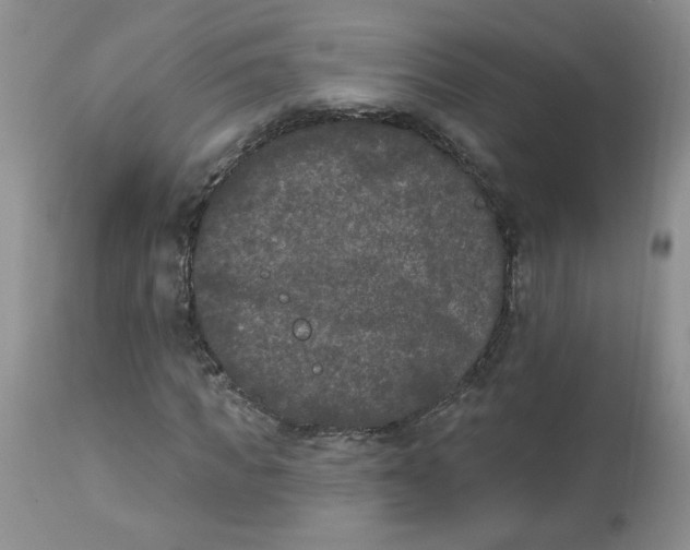 X0000112860917200909111505