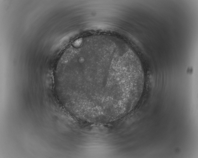 X0000112860918200909111505