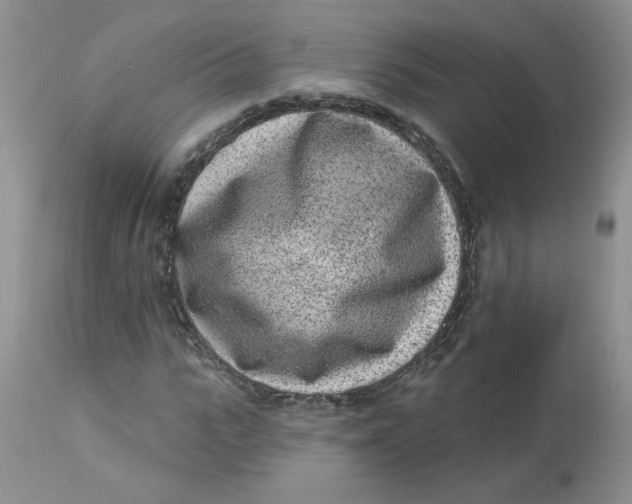 X0000112860919200909111505