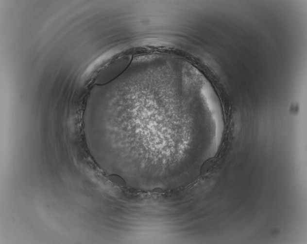 X0000112860920200909111505