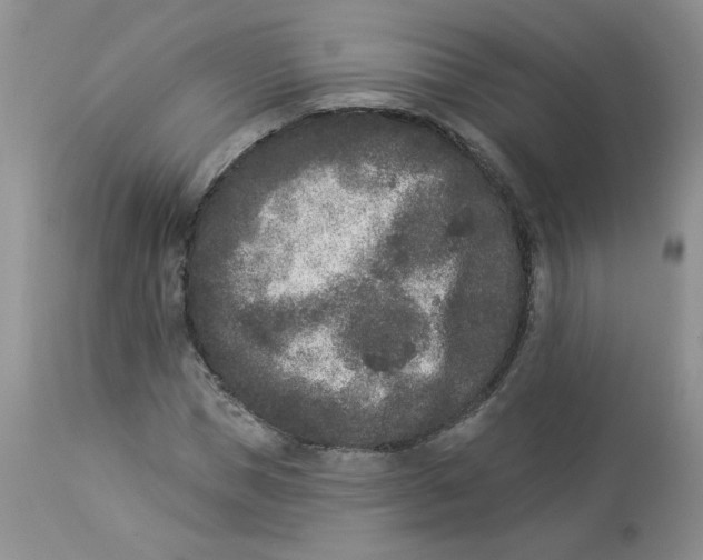 X0000112860921200909111505