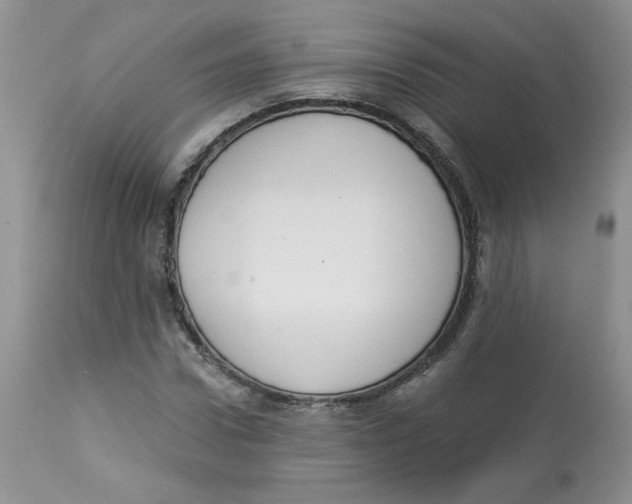 X0000112860922200909111505