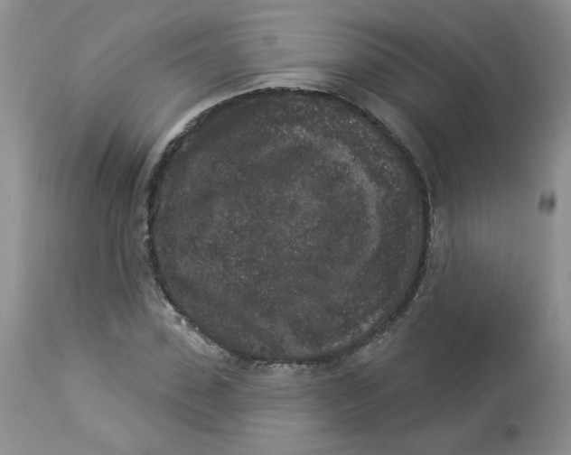 X0000112860923200909111505