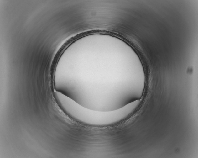 X0000112860924200909111505