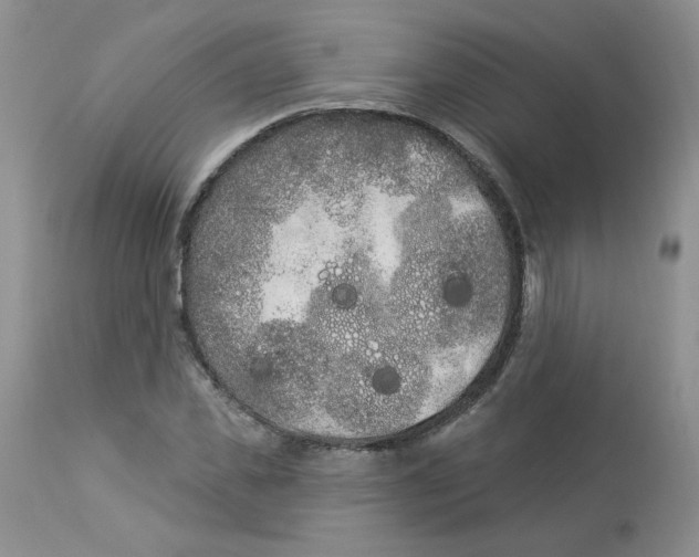 X0000112860925200909111505