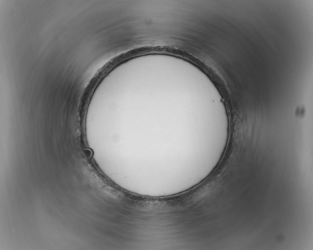 X0000112860927200909111505