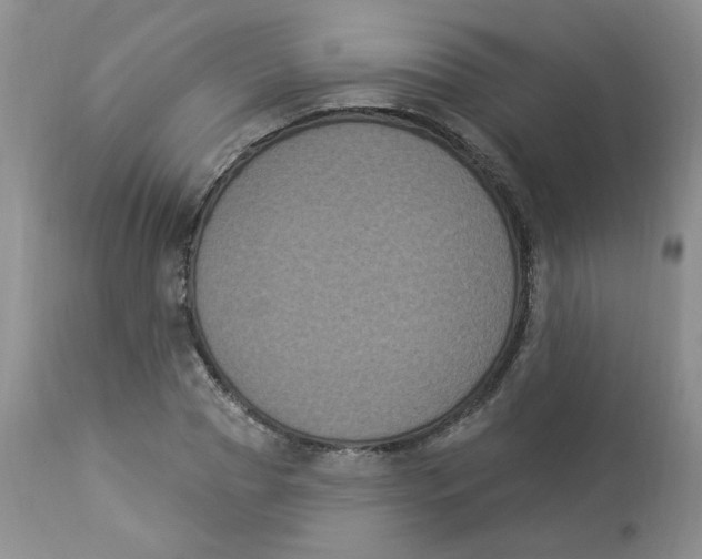 X0000112860929200909111505