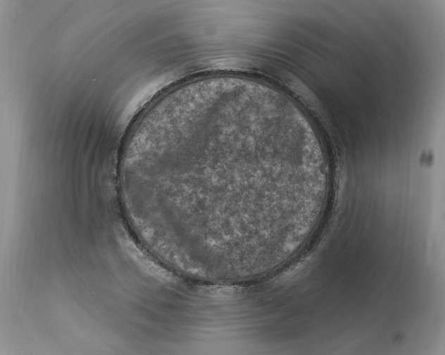 X0000112860930200909111505