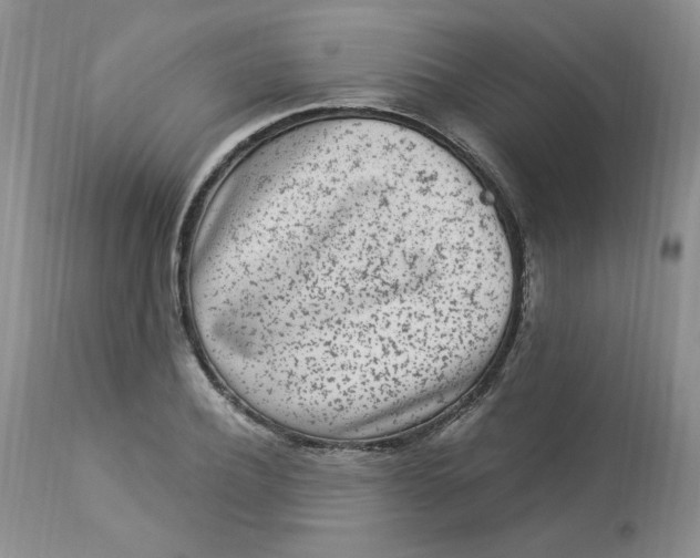 X0000112860932200909111505