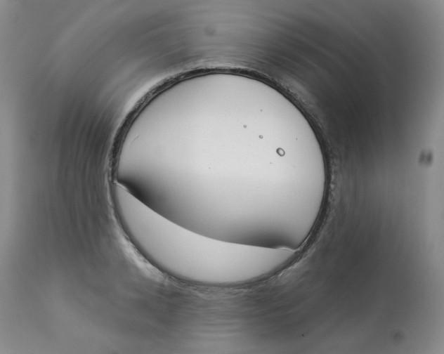 X0000112860942200909111505