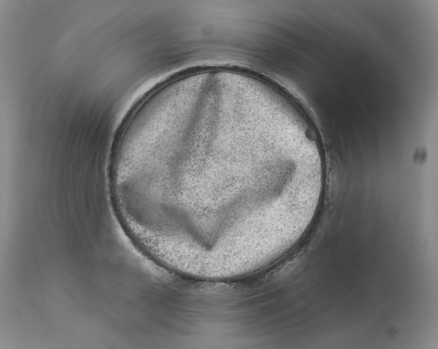 X0000112860943200909111505