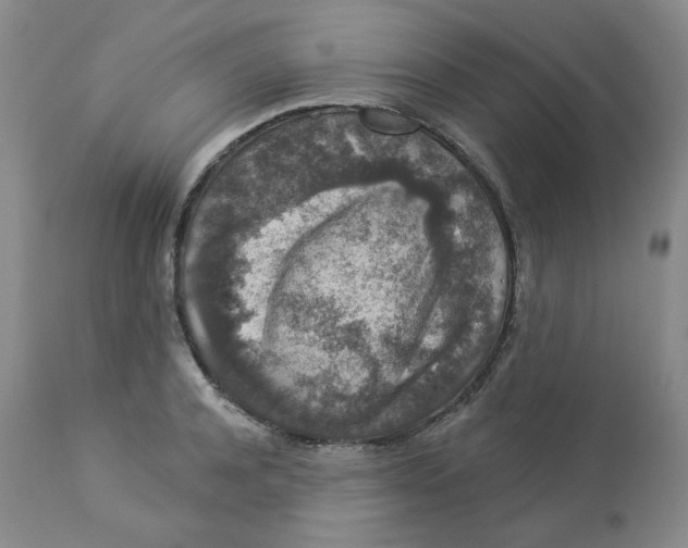 X0000112860944200909111505