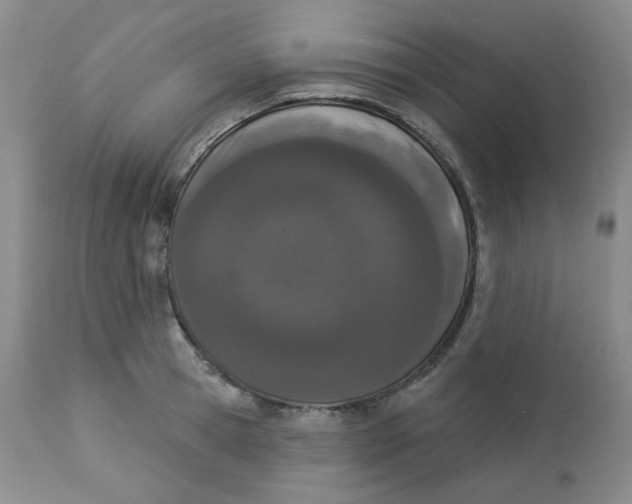 X0000112860945200909111505