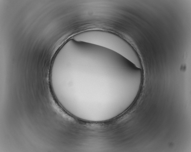 X0000112860946200909111505