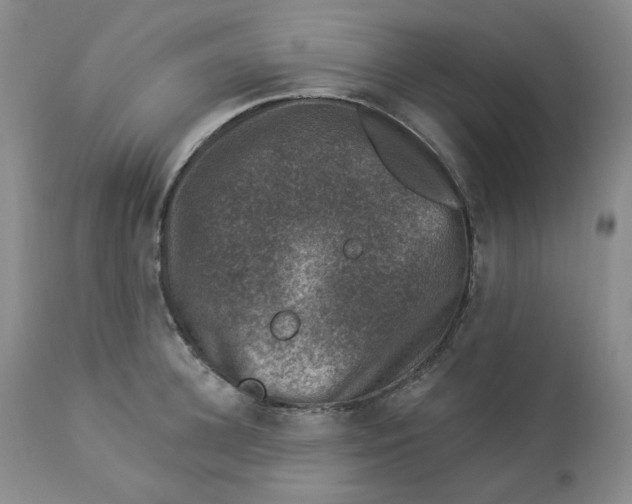 X0000112860948200909111505