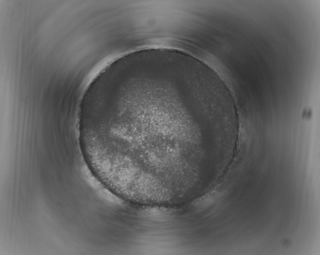 X0000112860950200909111505