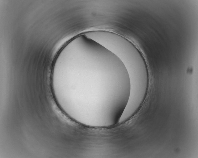 X0000112860952200909111505