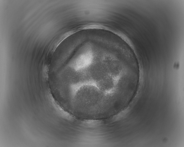 X0000112860953200909111505