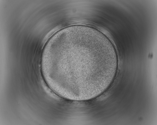 X0000112860954200909111505