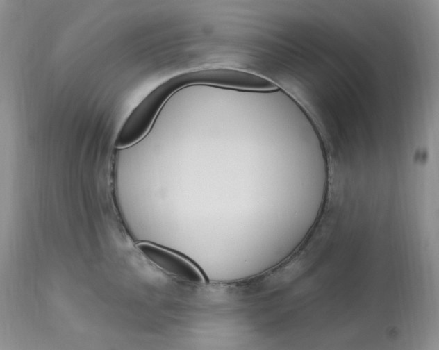 X0000112860956200909111505