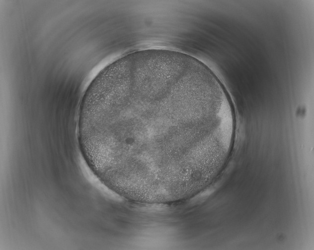 X0000112860957200909111505