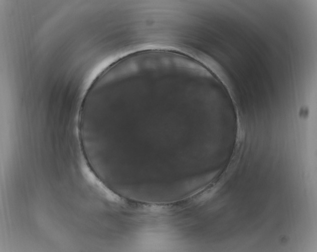 X0000112860958200909111505