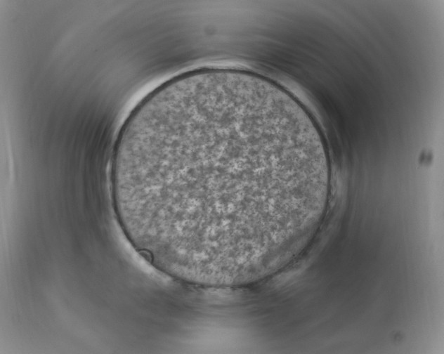 X0000112860959200909111505