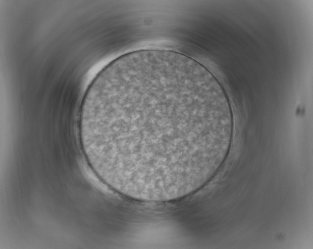 X0000112860960200909111505