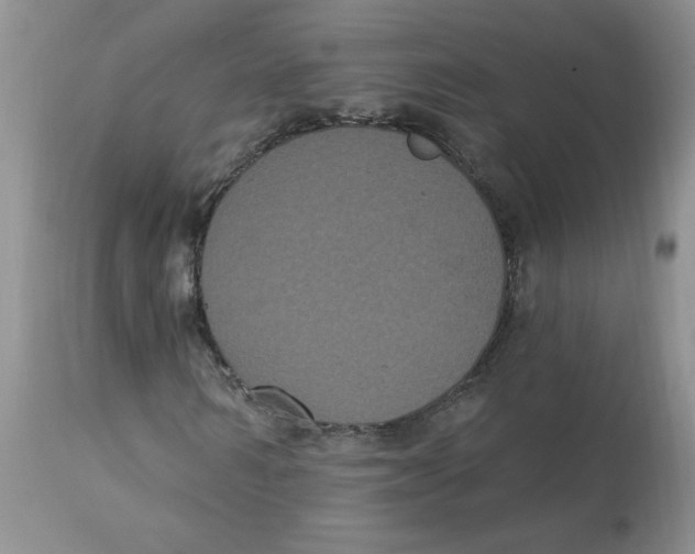 X0000112860962200909111505