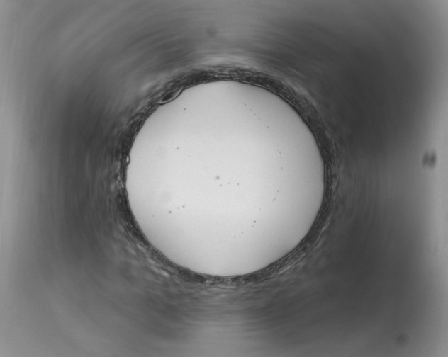 X0000112860965200909111505